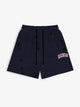Distressed Navy Shorts